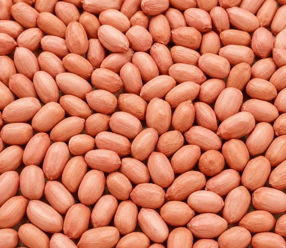 Optical Sortex Pure Peanut Kernels